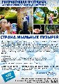 фото к отзыву